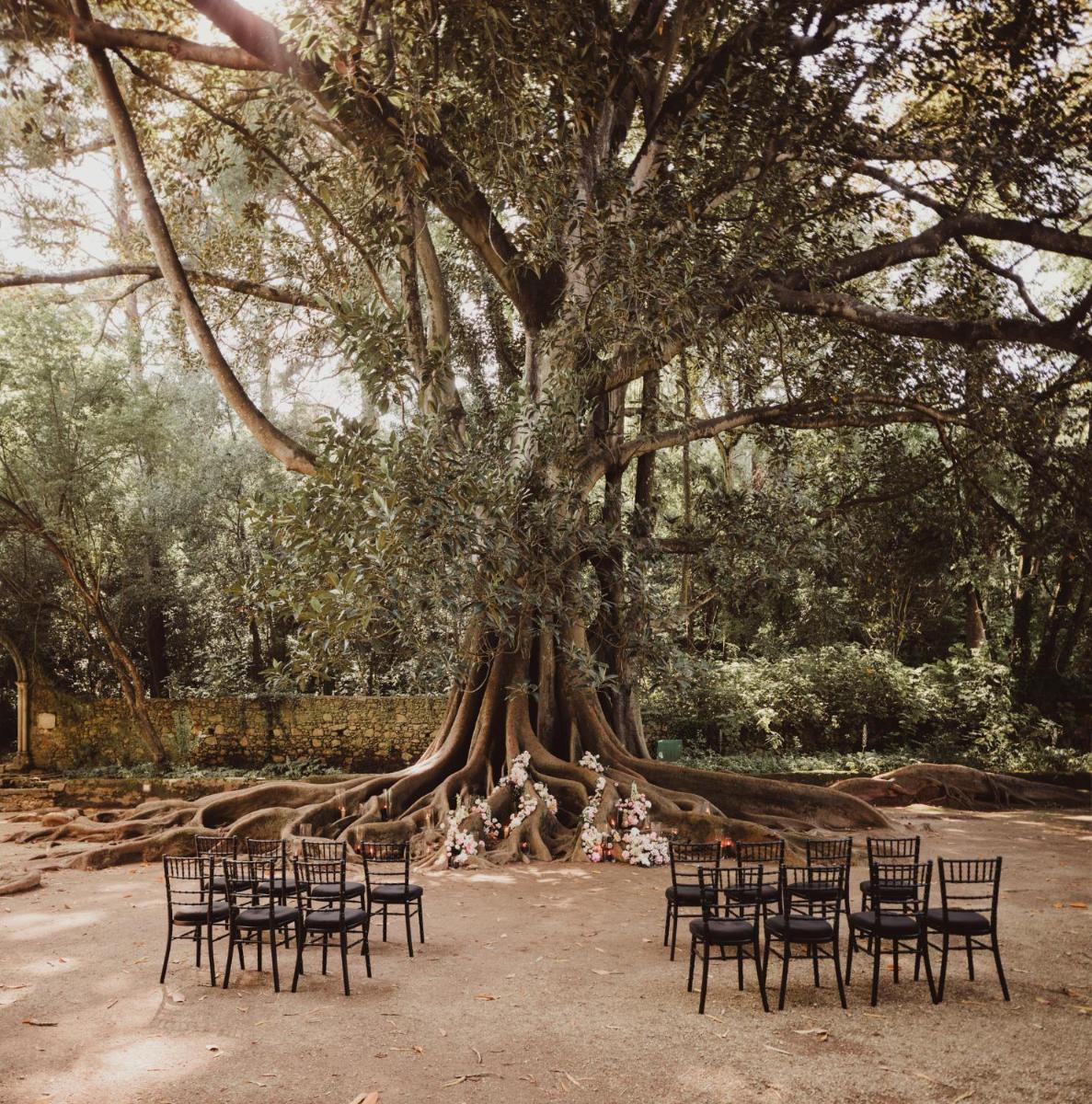 Um jardim no exterior de Hotel Quinta das Lagrimas - Small Luxury Hotels