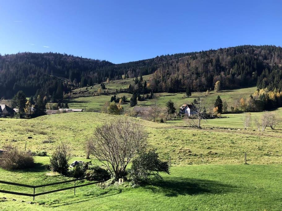 Schwarzwald Loft Menzenschwand - Housity