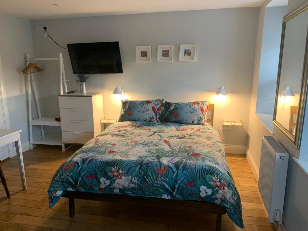 Cosy Studio Flat, pets allowed - Hizvo