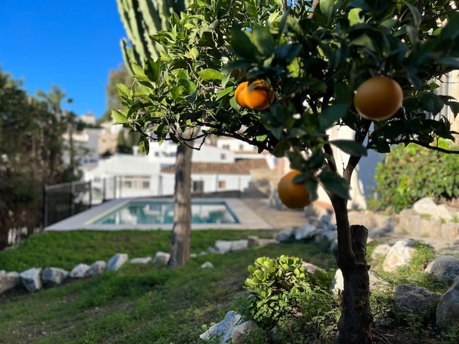 House with private pool in central Mijas Pueblo - Housity