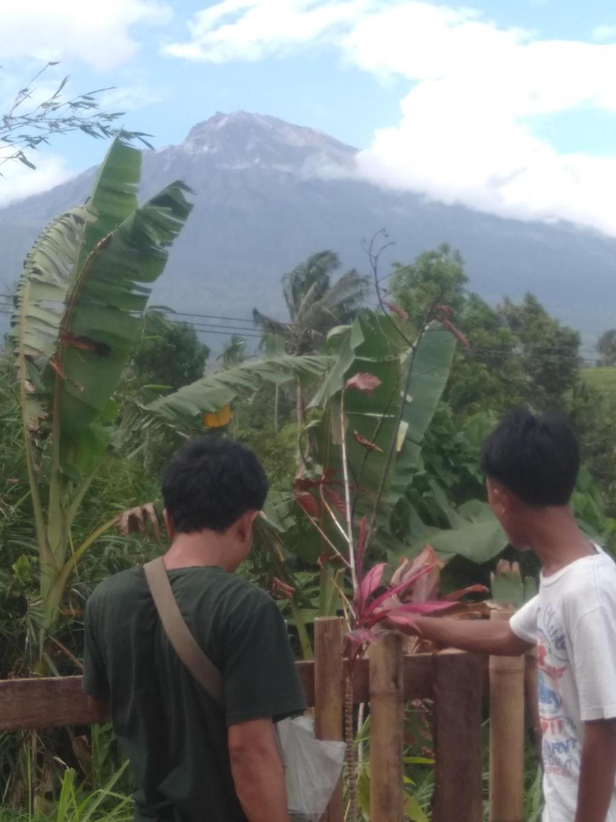 Suitetrails - Rain homestay