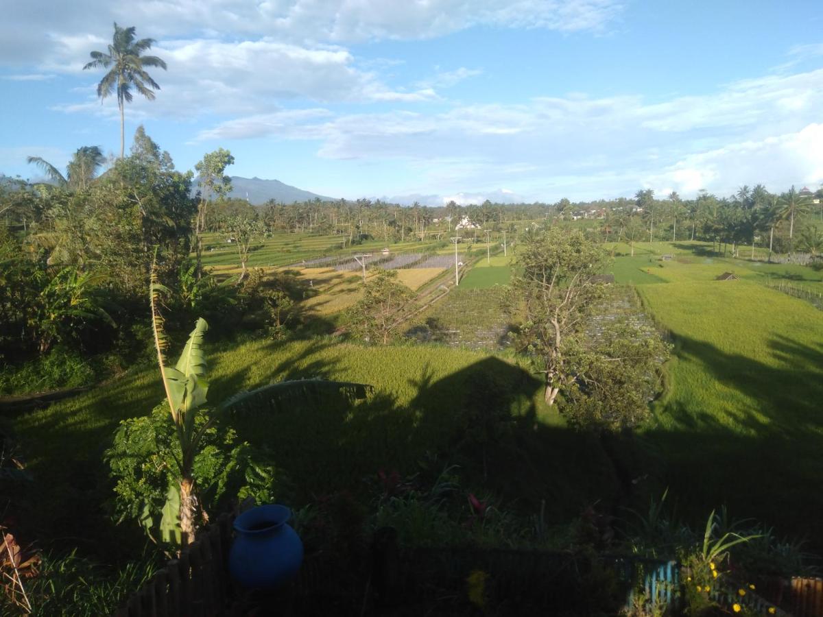 Suitetrails - Rain homestay
