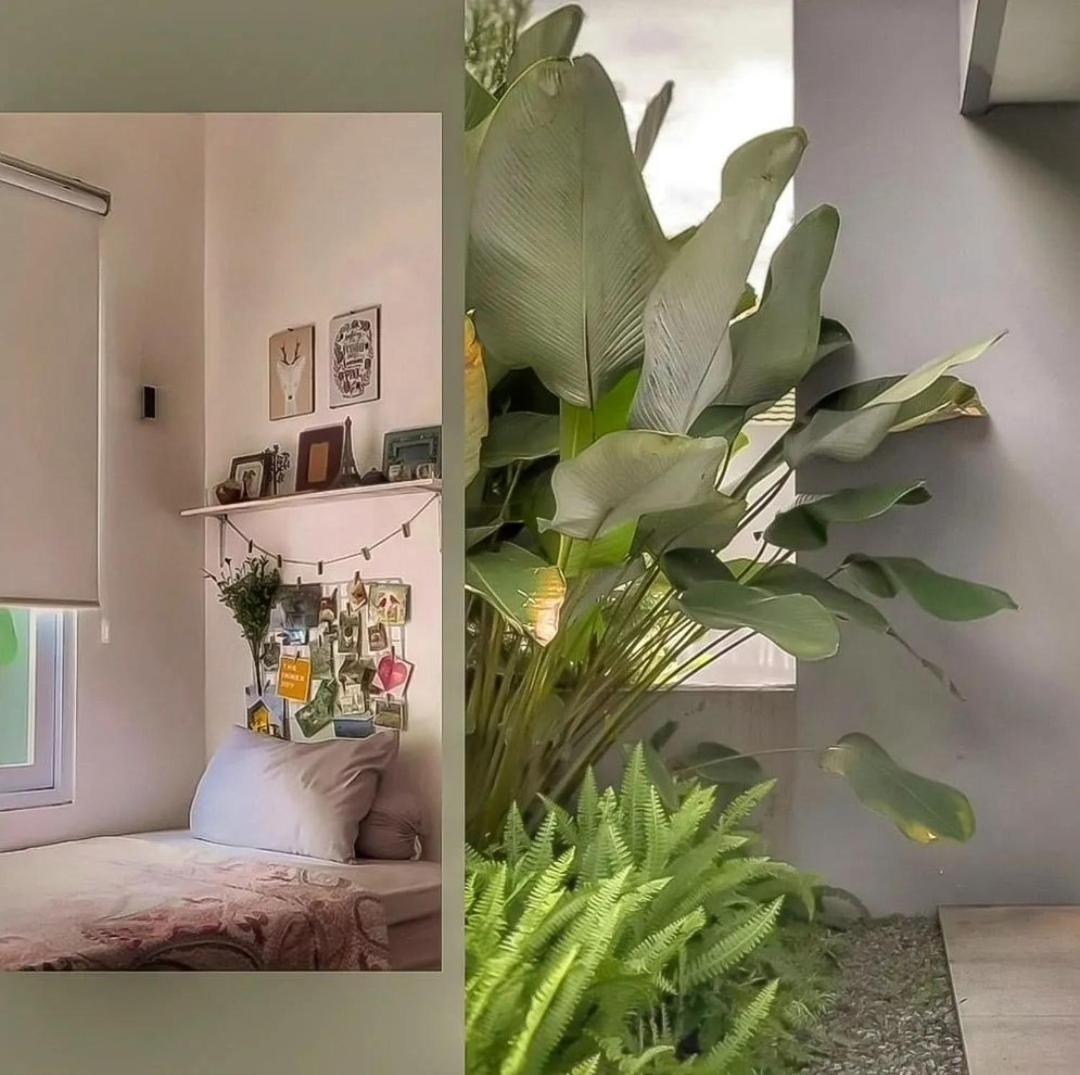 Humming House - Hizvo