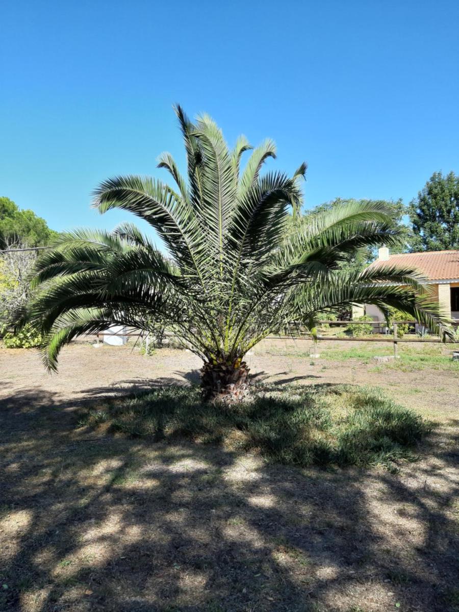 Cortijo los Conquistadores Vakantiehuis - Housity