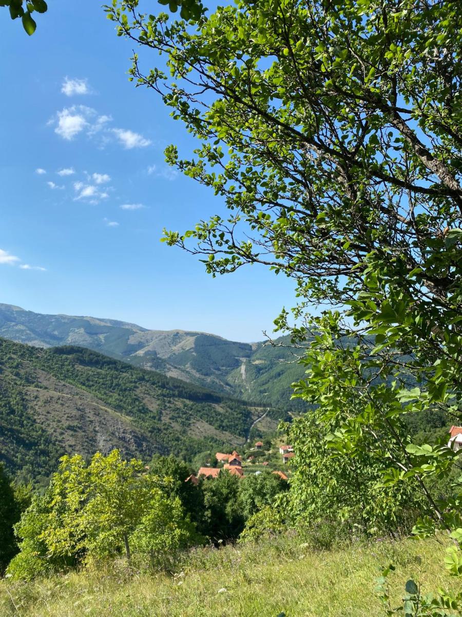 Suitetrails - Domaćinstvo Maksimović