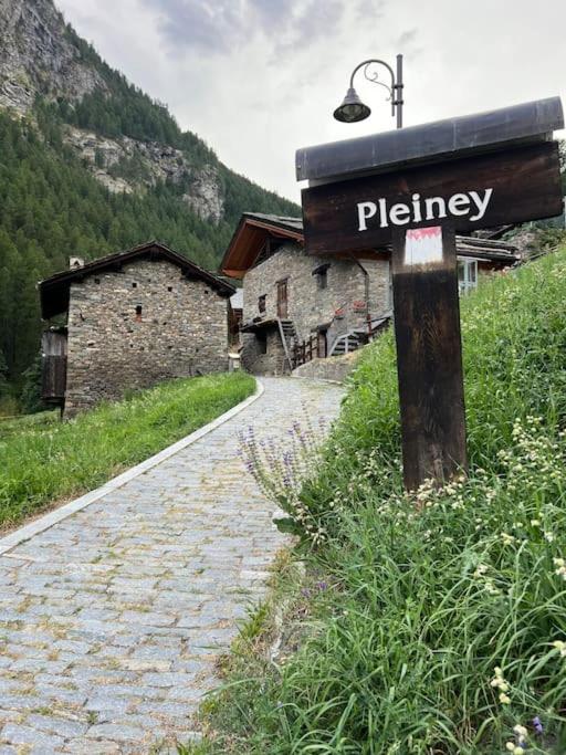 Grandze du Pleiney - Housity