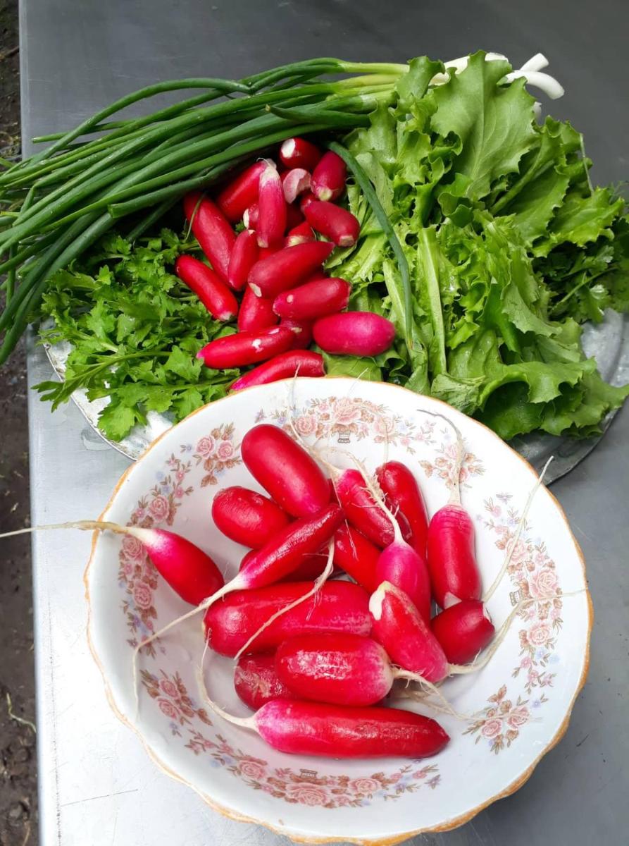 Agro House Mezge - აგროსახლი მეზგე - Housity