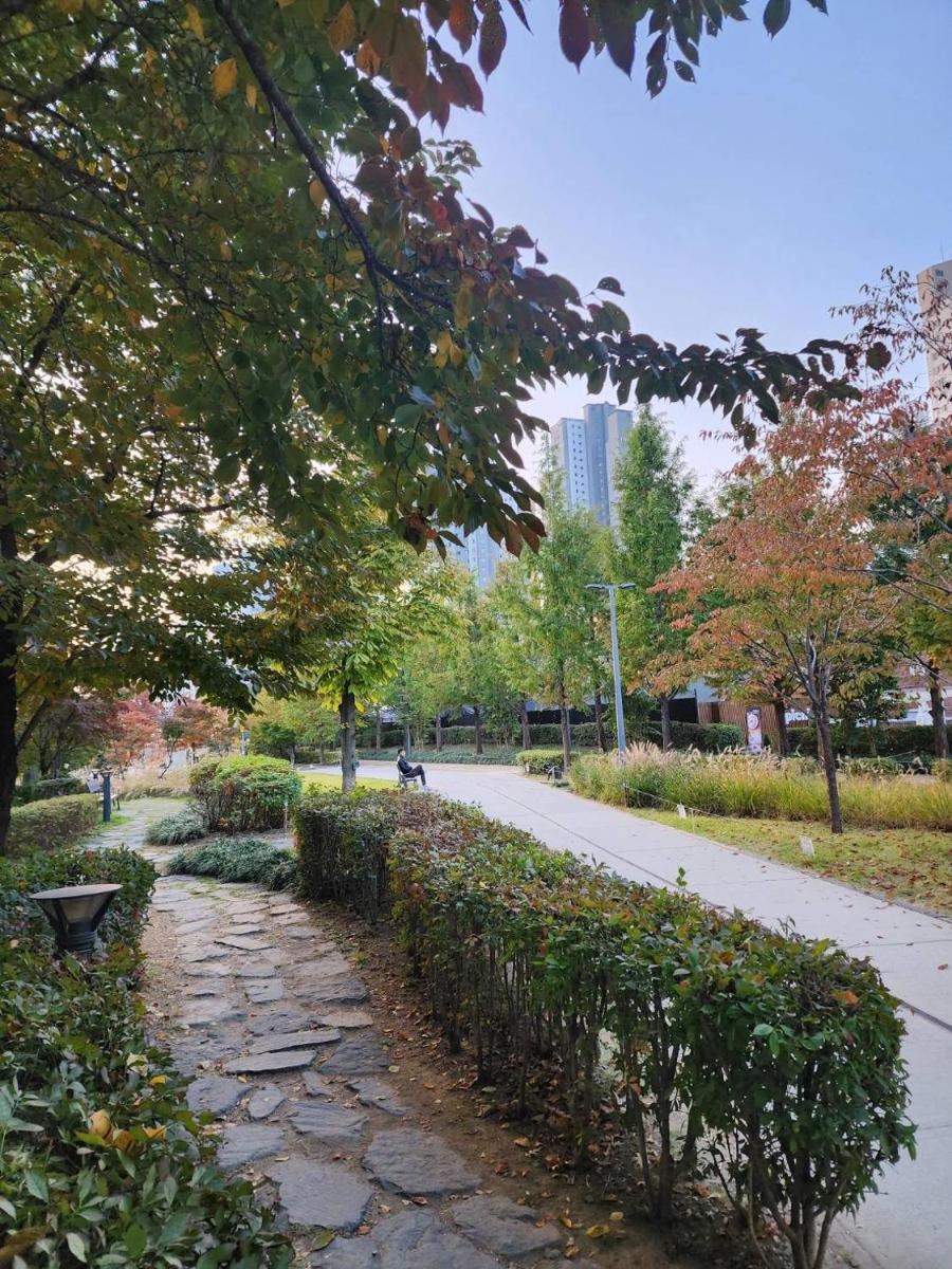 HONGDAE Forest HOUSE - Housity