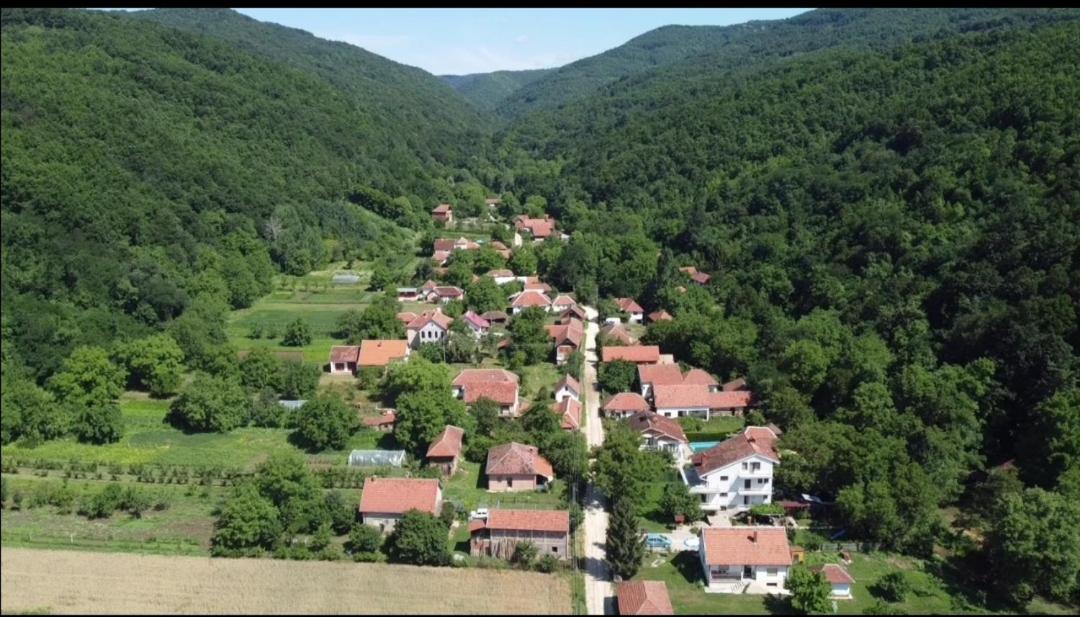 Domaćinstvo Trifunović - Housity