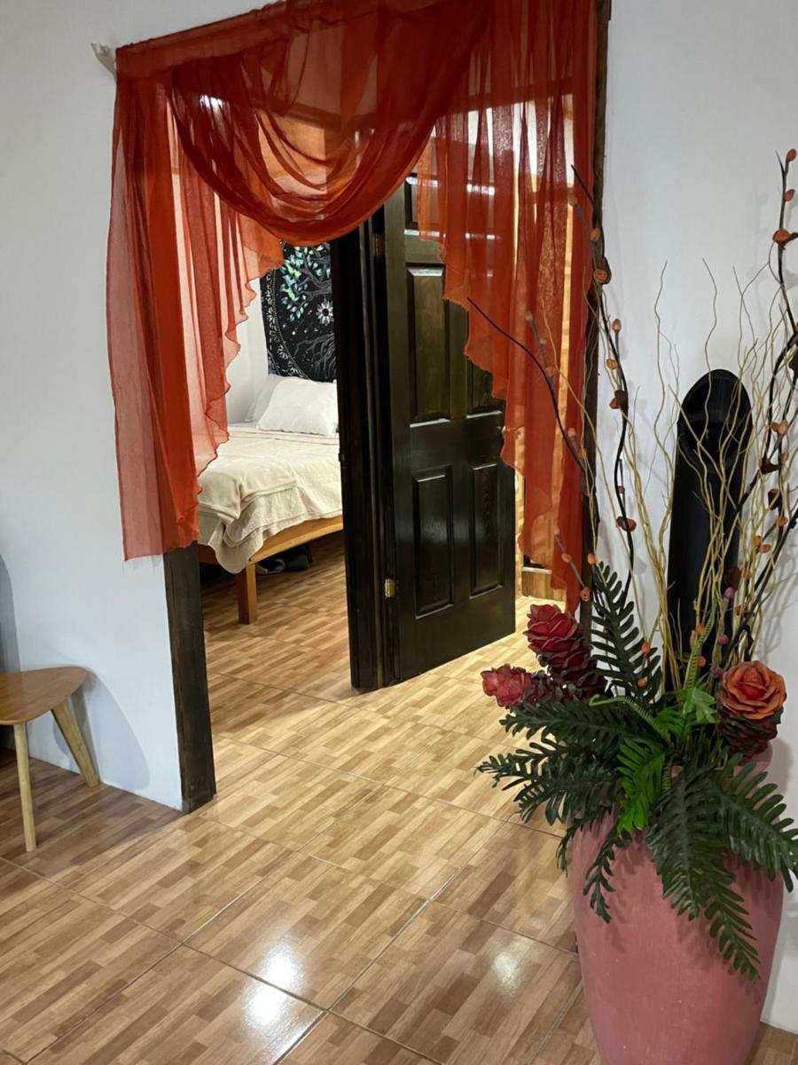 Nasua Apartment - Hizvo