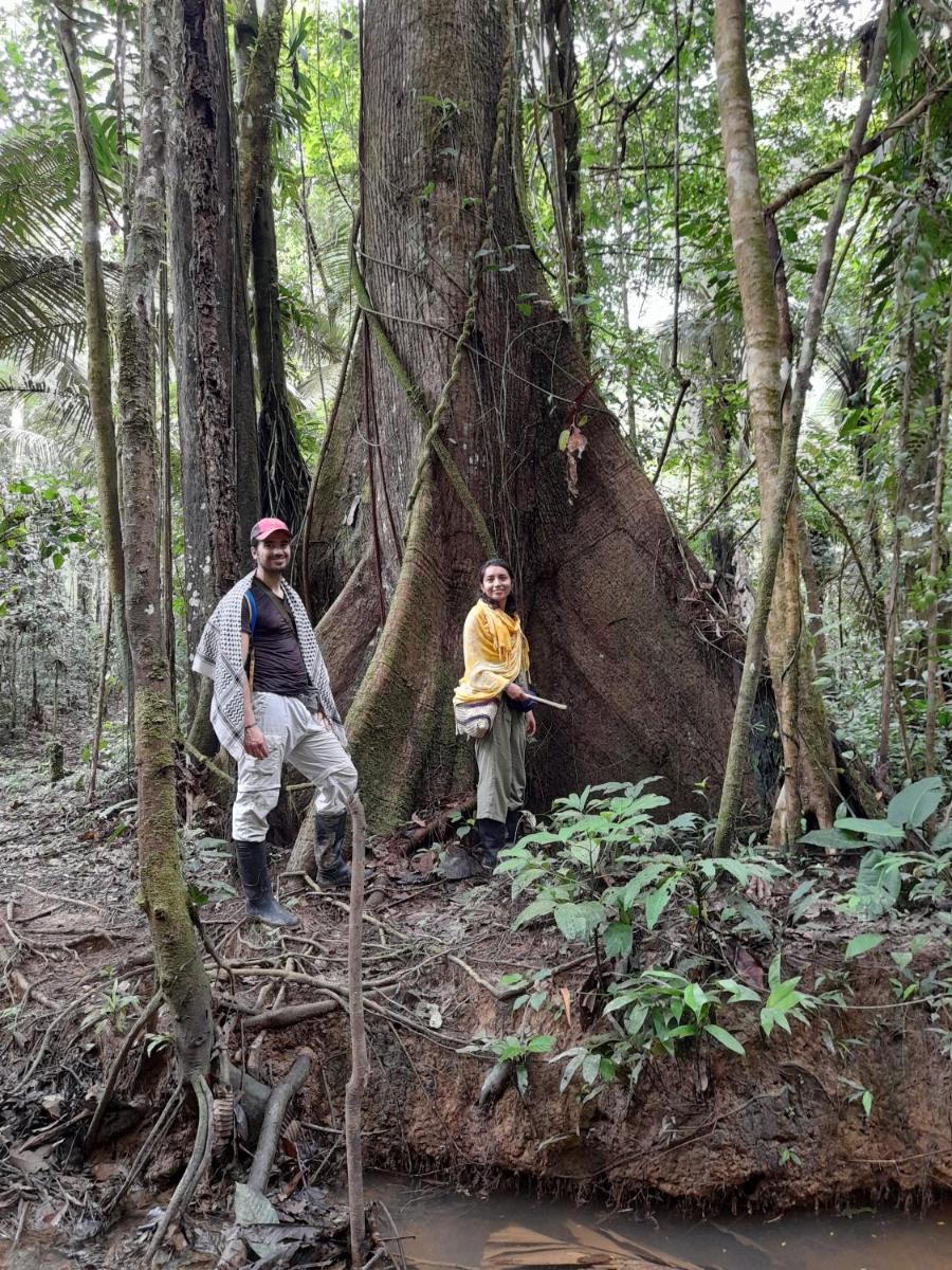 Ahuma hospedaje en el Amazonas - Housity