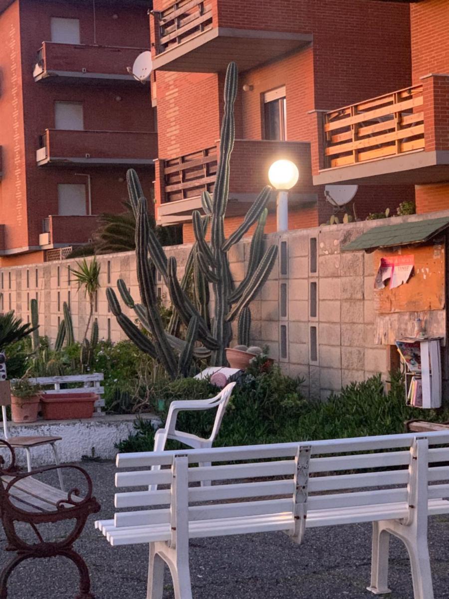 Roma mare pineta e sport! - Housity