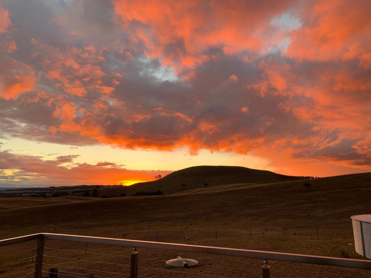 GOULBURN ALPACA FARM STAY - Housity