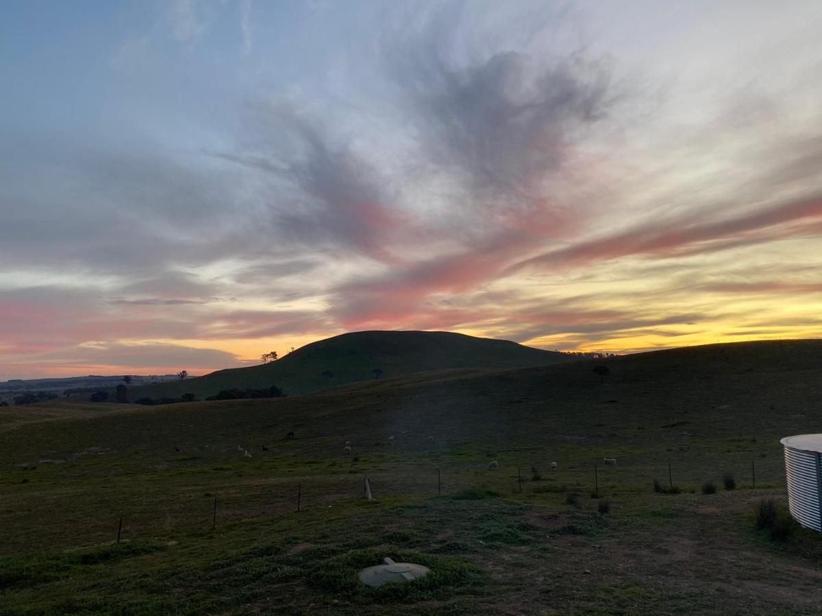 GOULBURN ALPACA FARM STAY - Housity