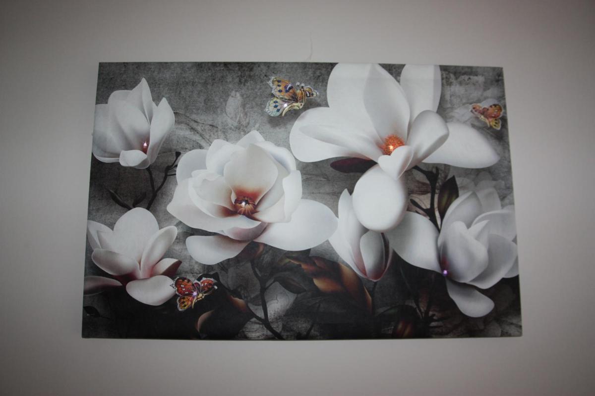 Flowers House - Housity