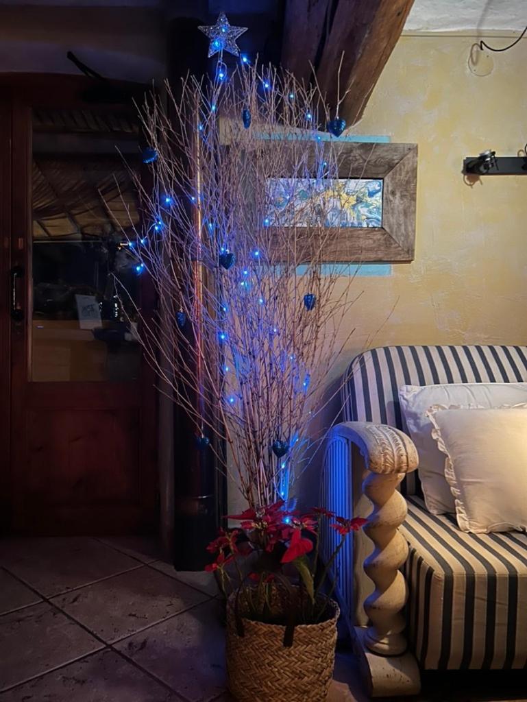 Zona de estar de Les Vinyes Alojamiento Rural Boutique & SPA