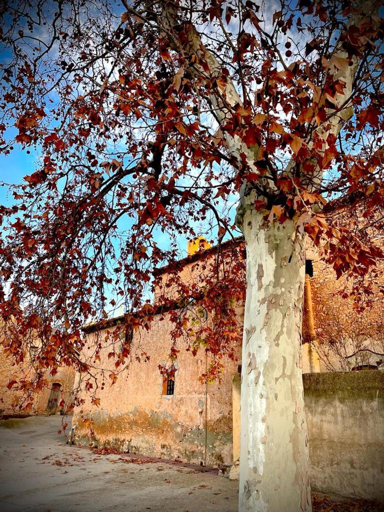 Imagen de la galería de Les Vinyes Alojamiento Rural Boutique & SPA, en Vilardida