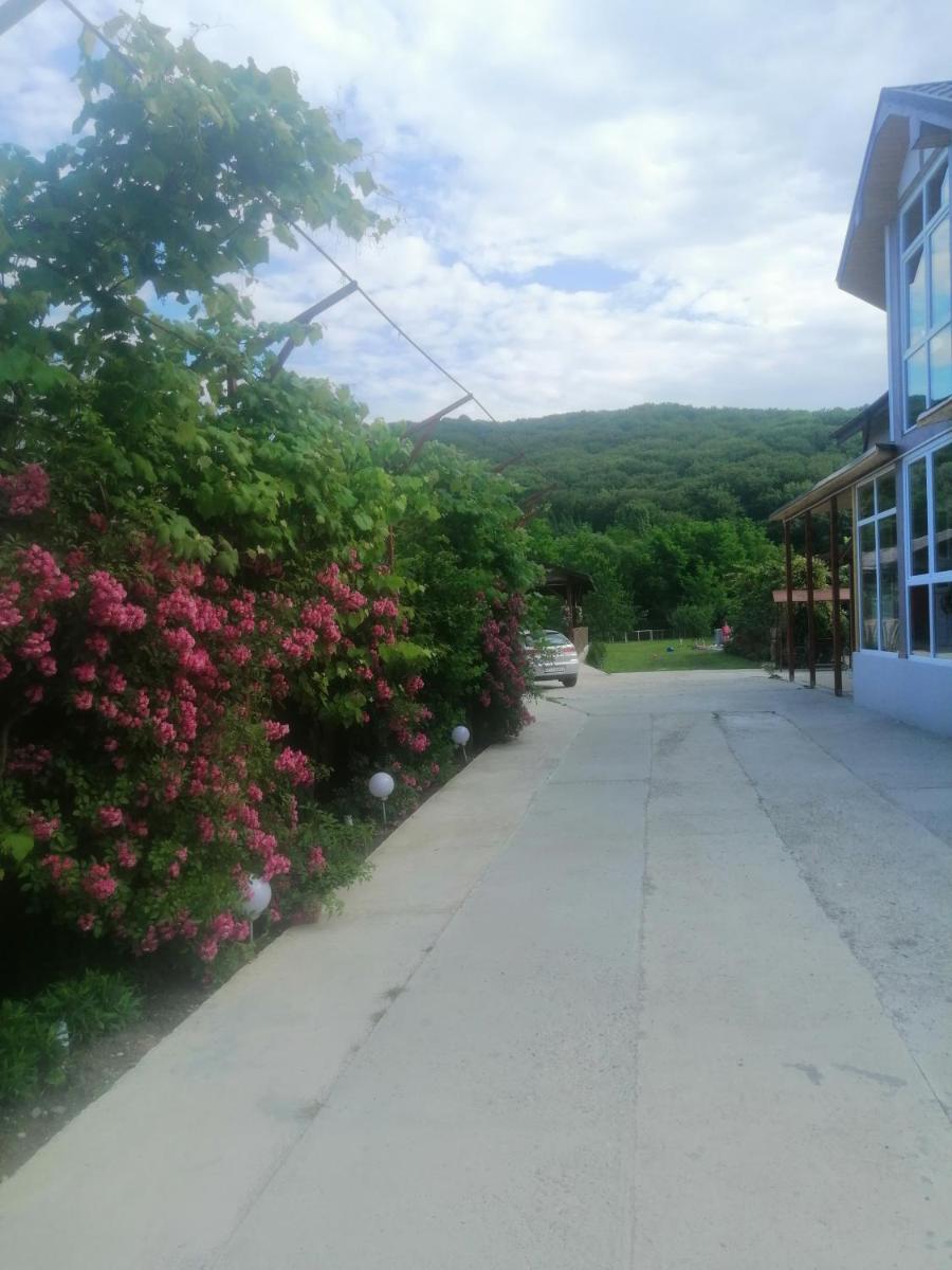 Casa Amaya - Housity