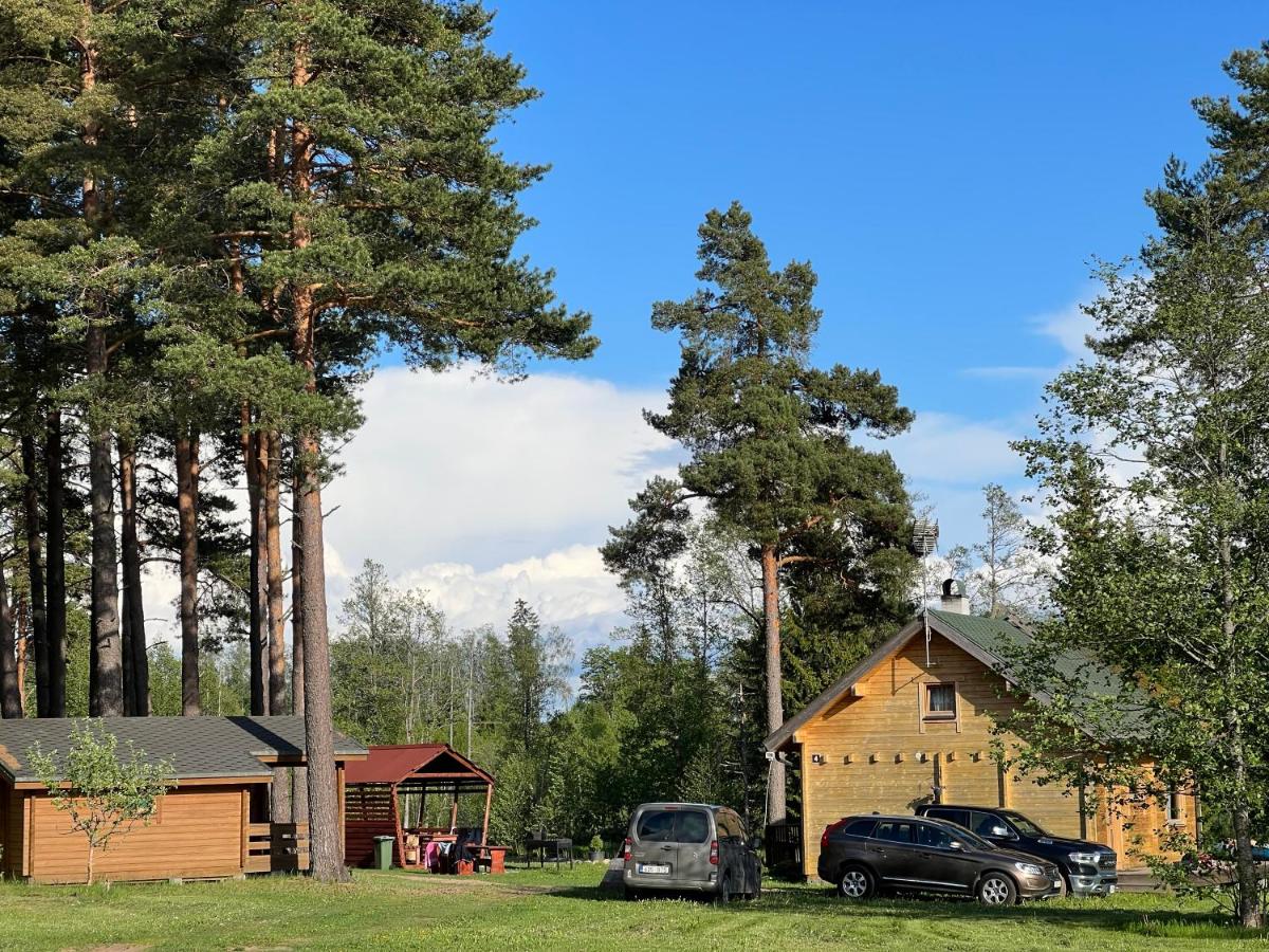 Arturi Maja saunaga - Housity