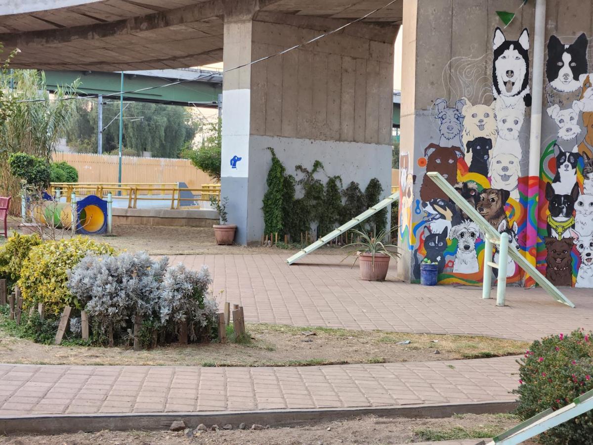 México Querido Jardín - Housity
