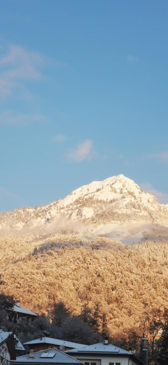 Suitetrails - miniapp. a 2 km da Pedavena