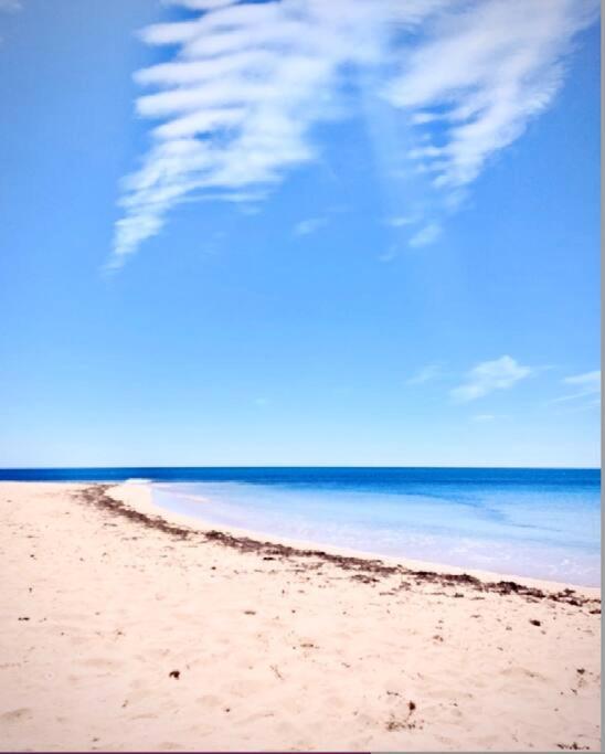 Falcon Beach House - Multi-Family, Pets, Kids! - Housity