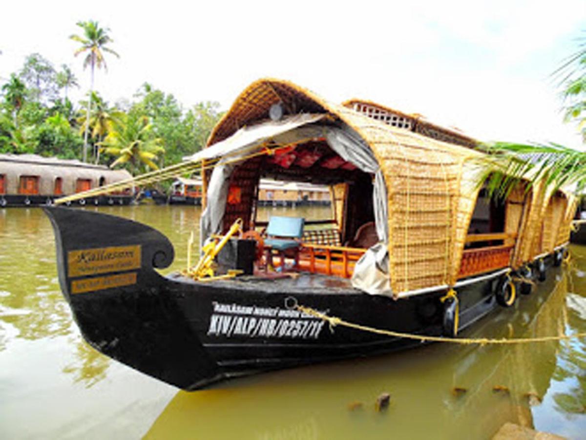 Houseboat cruise in the backwaters of Kerala. - Housity