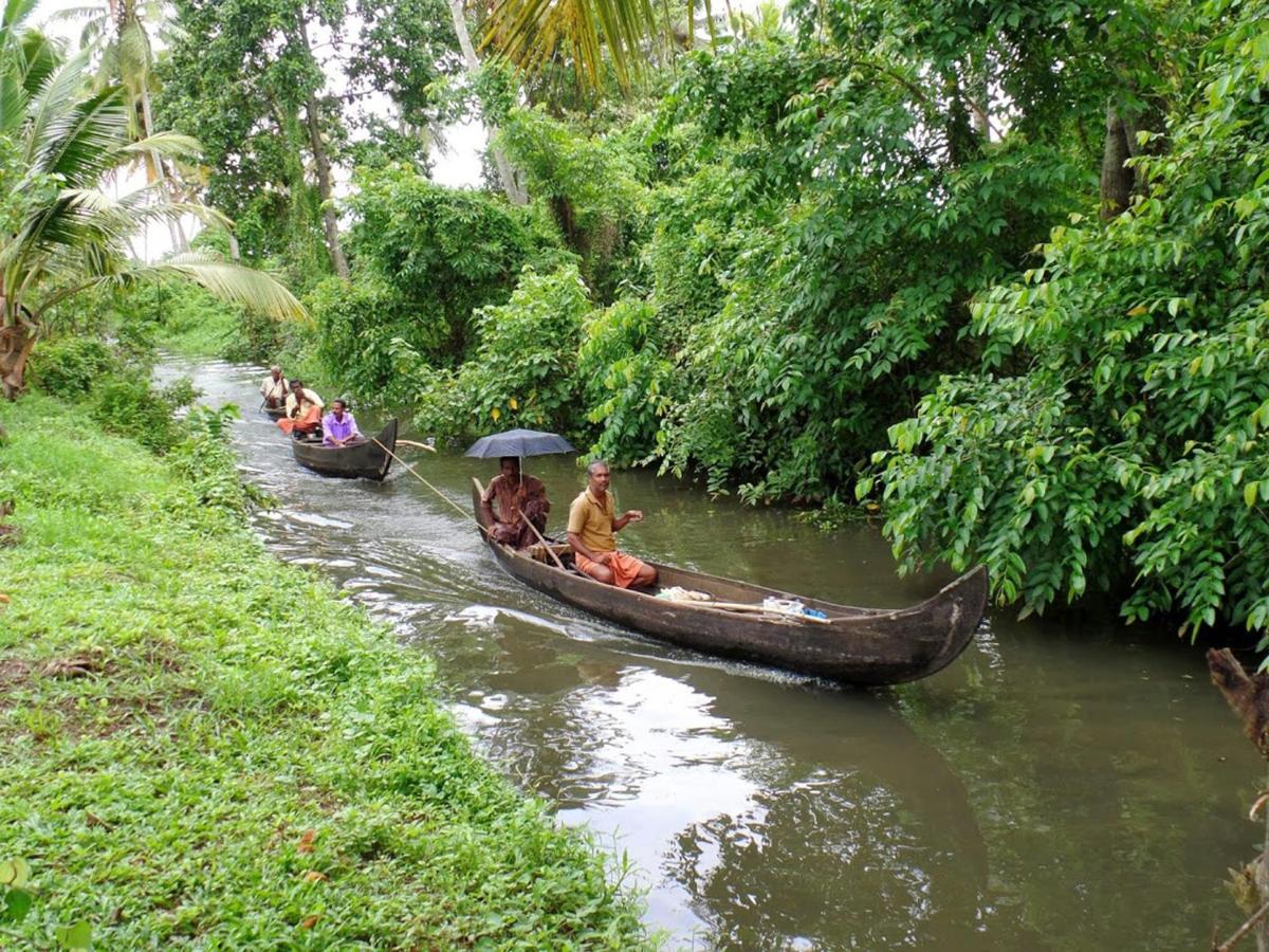 Houseboat cruise in the backwaters of Kerala. - Housity