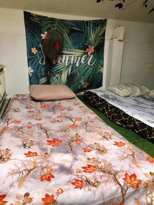 Ohana Homestay Banyuwangi - Housity