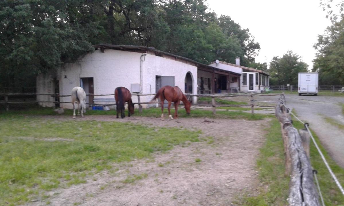 ferme équestre des abrons - Housity