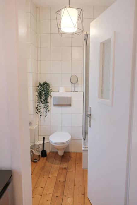 Stadtoase Design Wohnung in der Altstadt von Koblenz - Housity
