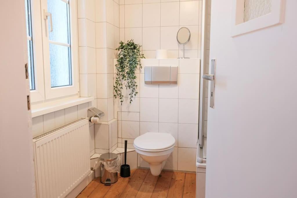 Stadtoase Design Wohnung in der Altstadt von Koblenz - Housity