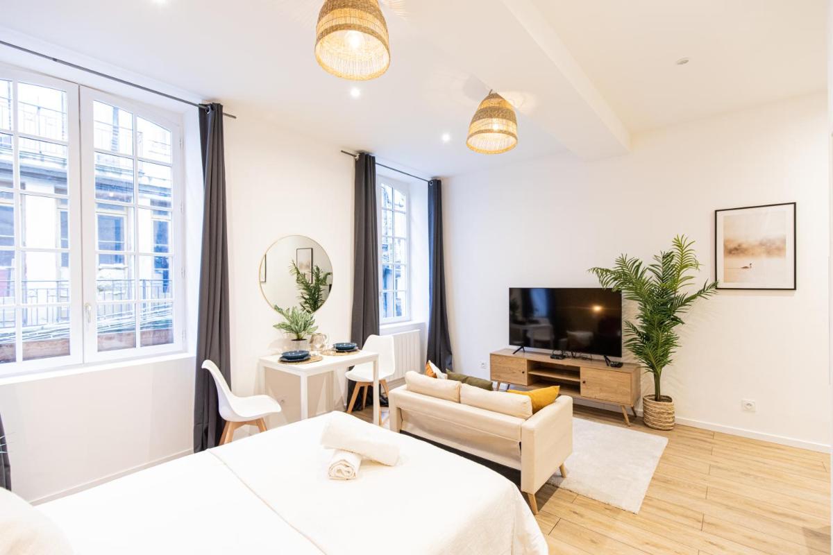 Luz - Appartement hyper centre Saint-Etienne - Housity