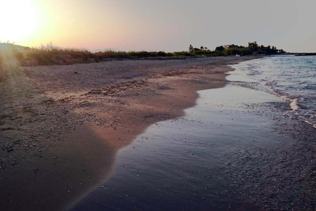 Dèpendance immersa tra gli ulivi - Housity