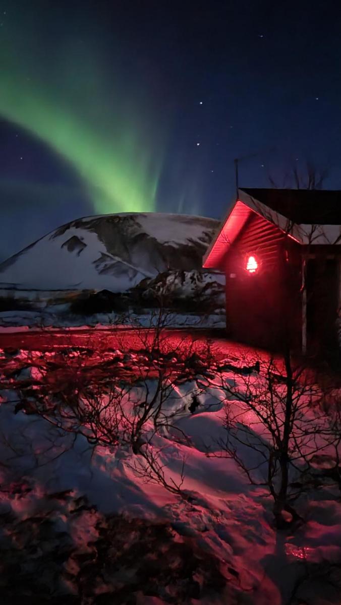 House in lava - Housity