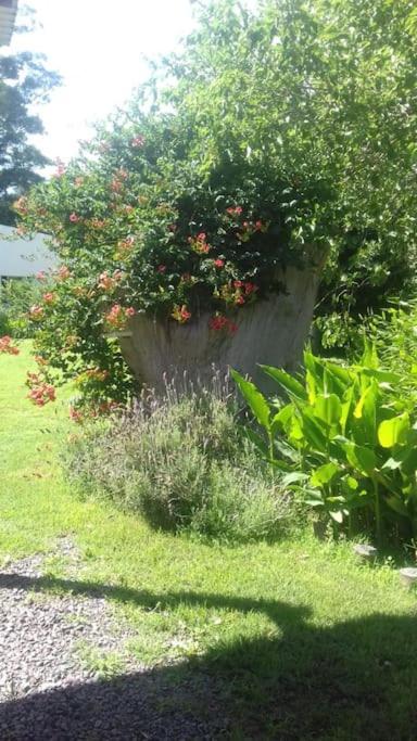 Quinta rural en Paraje Villa Sanz - Bolivar - Buenos Aires - Housity