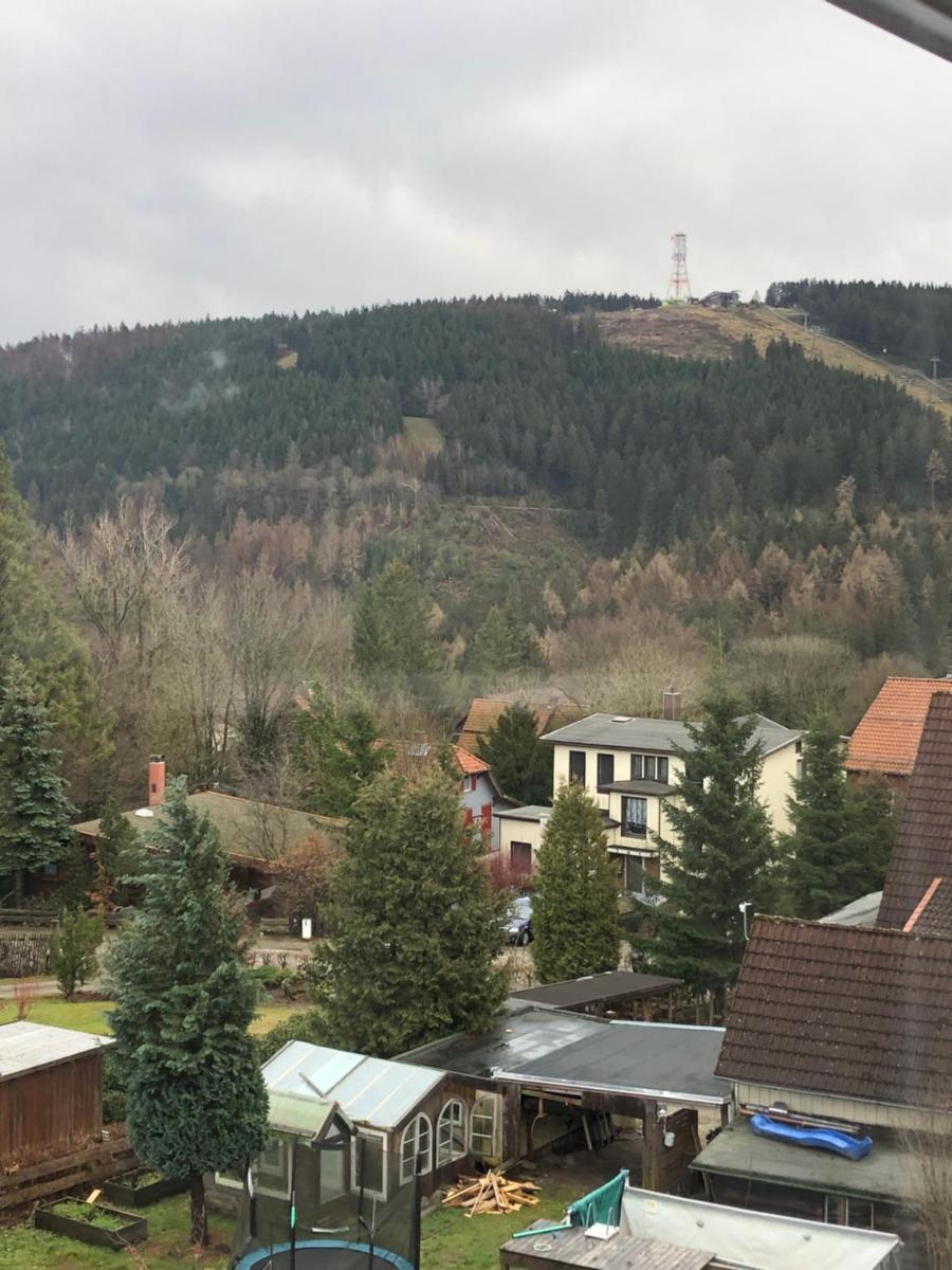 Ferienwohnung Eichhörnchenkobel - Housity