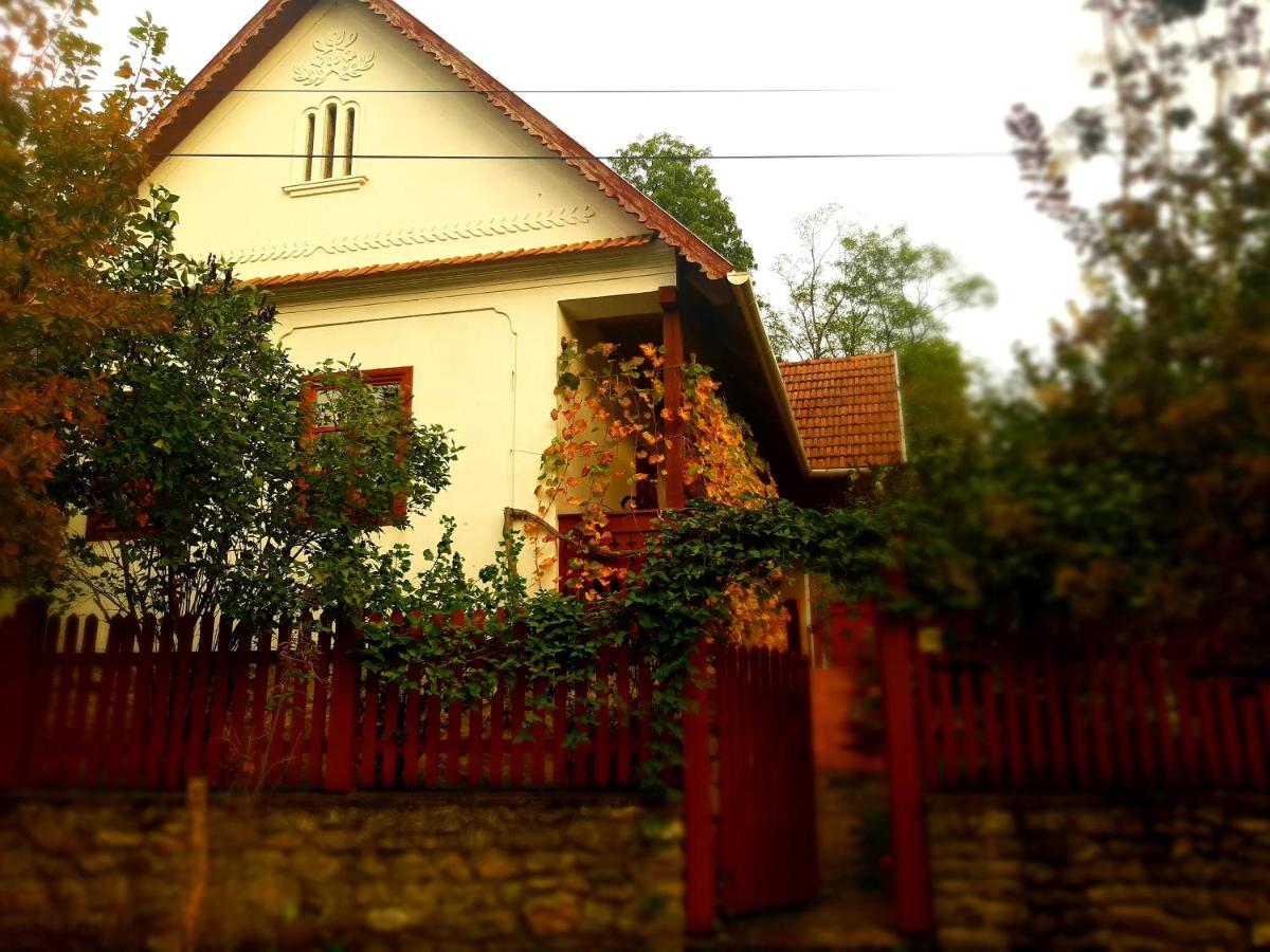 Forrásvölgy vendégház - Housity