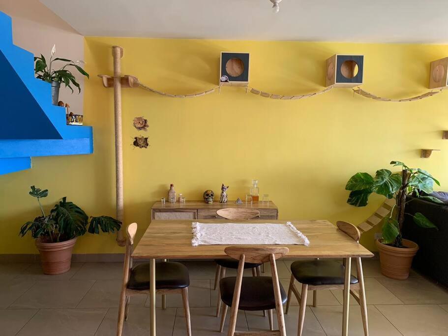 Penthouse with Roof Garden in Lindavista CDMX - Housity