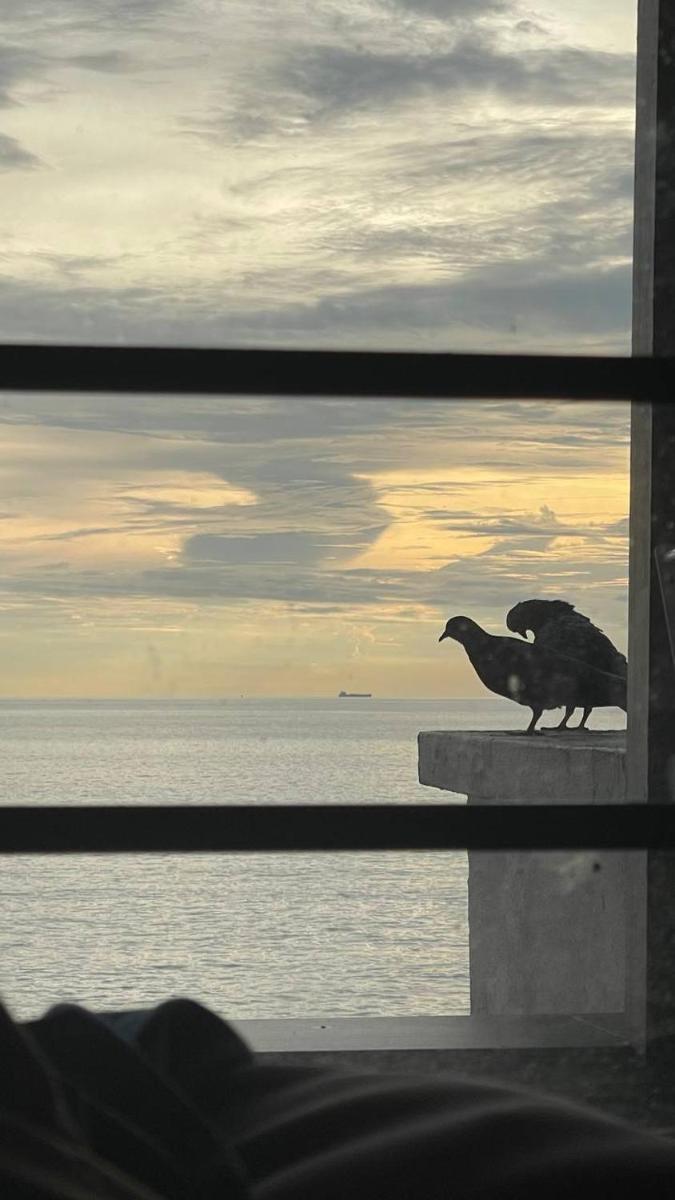 Seaview Holiday home - Housity