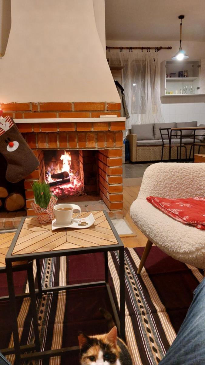 Vikendica Zajecar - Housity