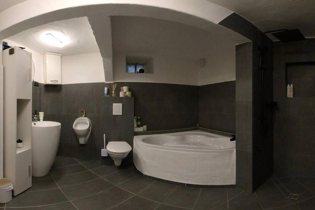Luxury 1895 Stone & Wood Art House - Housity