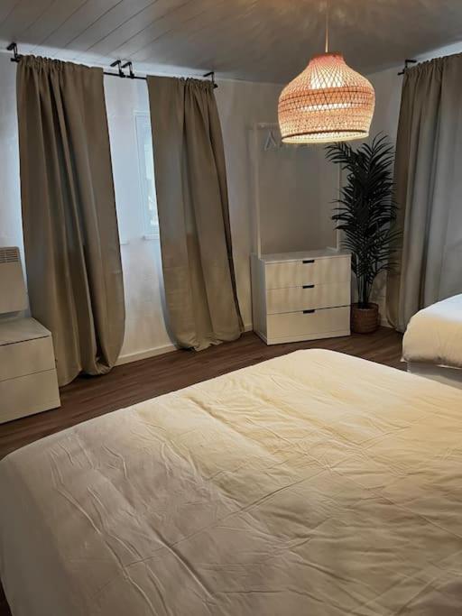 Kleines Häschen mit Charakter - Housity