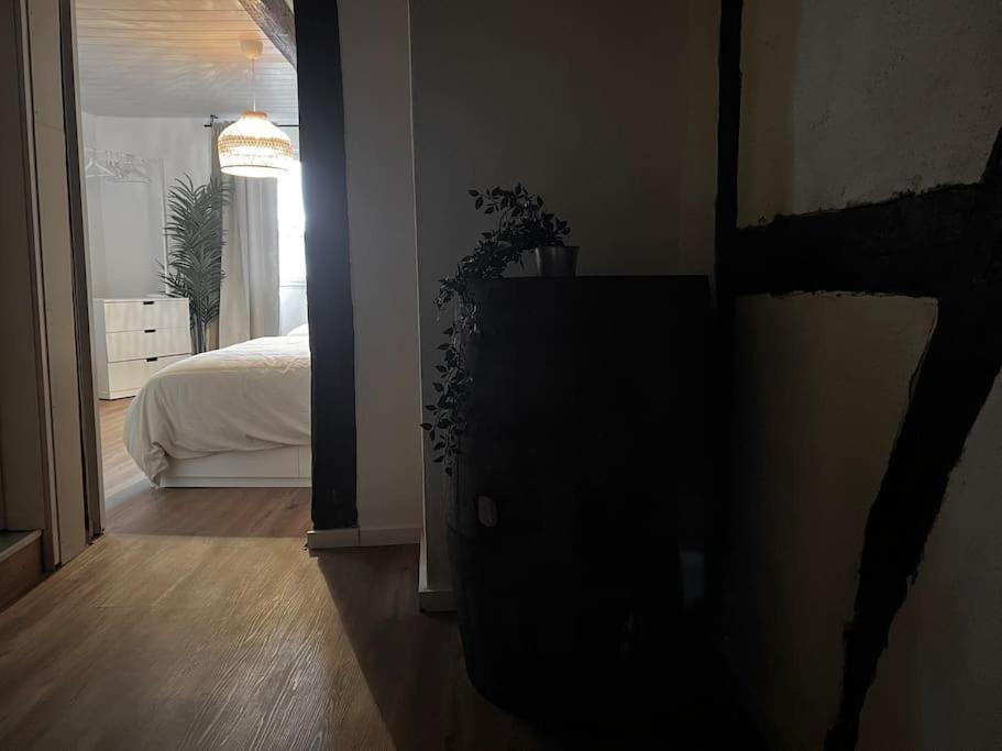 Kleines Häschen mit Charakter - Housity