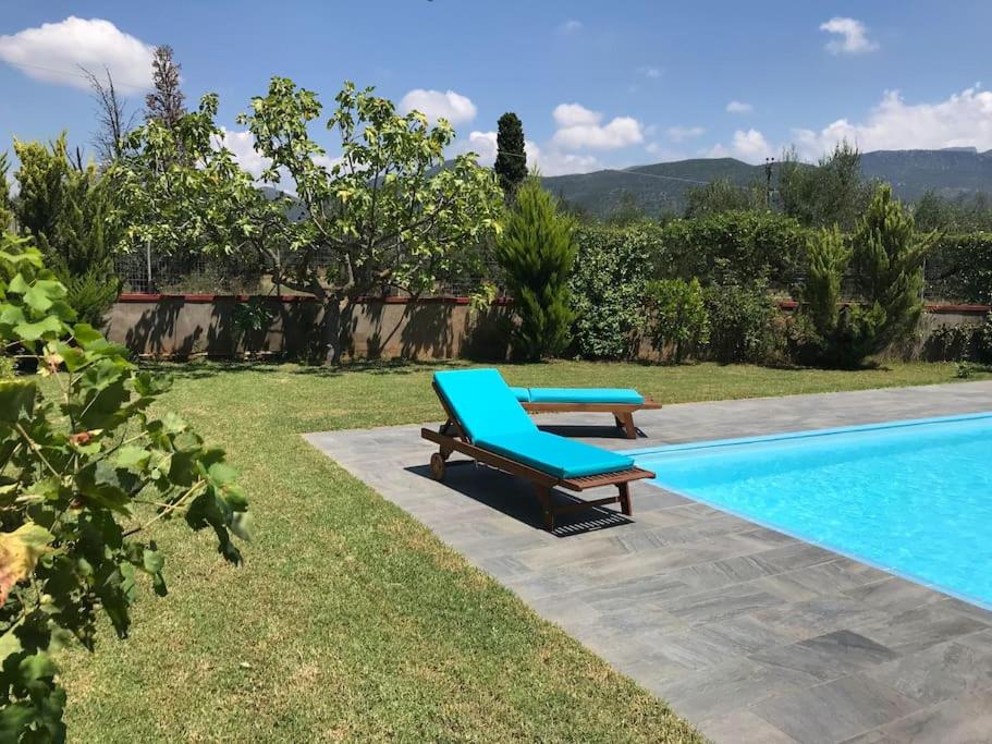 Villa Evelina - Housity