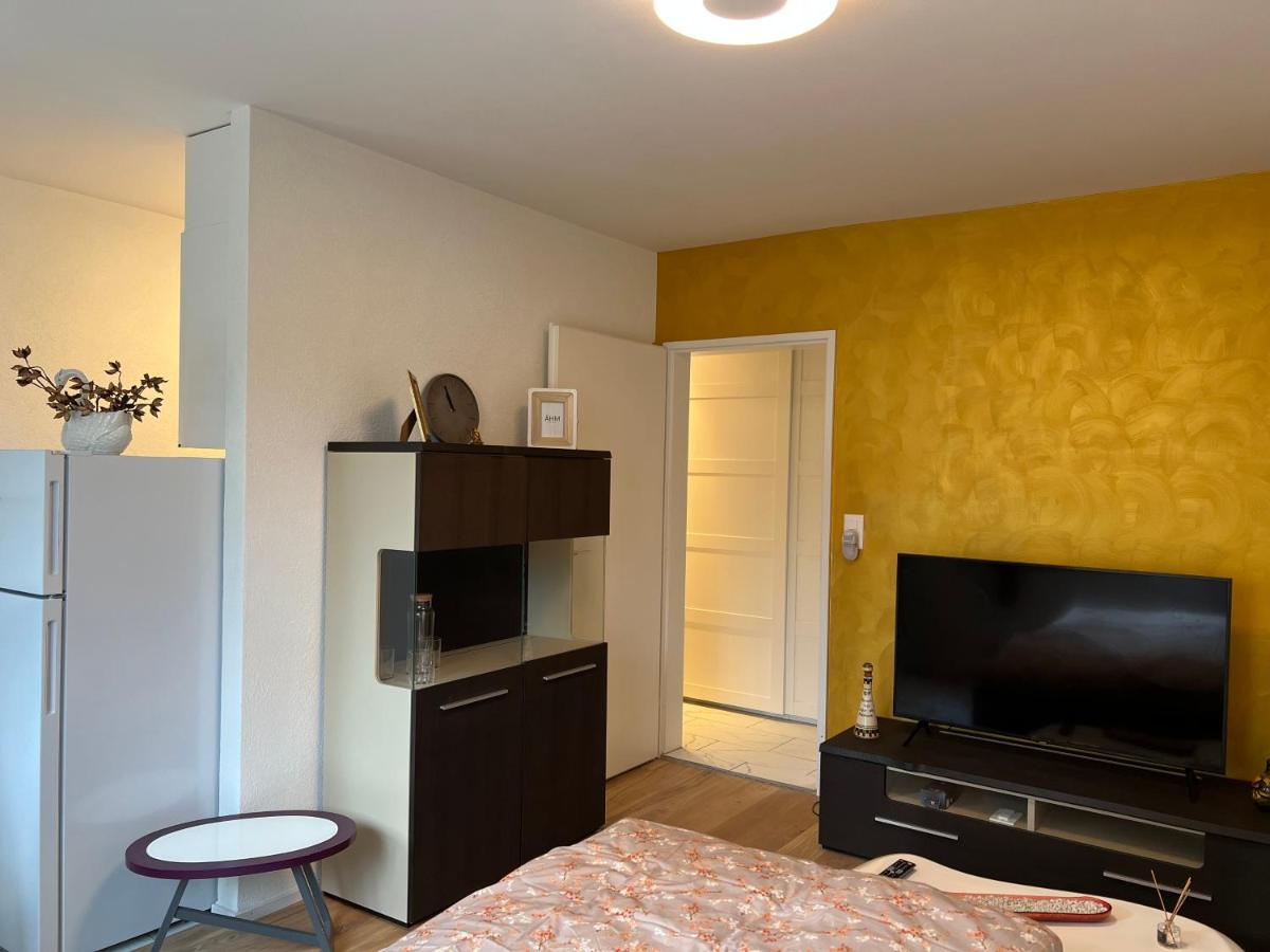 1.5 studio room fully furnished @ Langnau am Albis - Housity