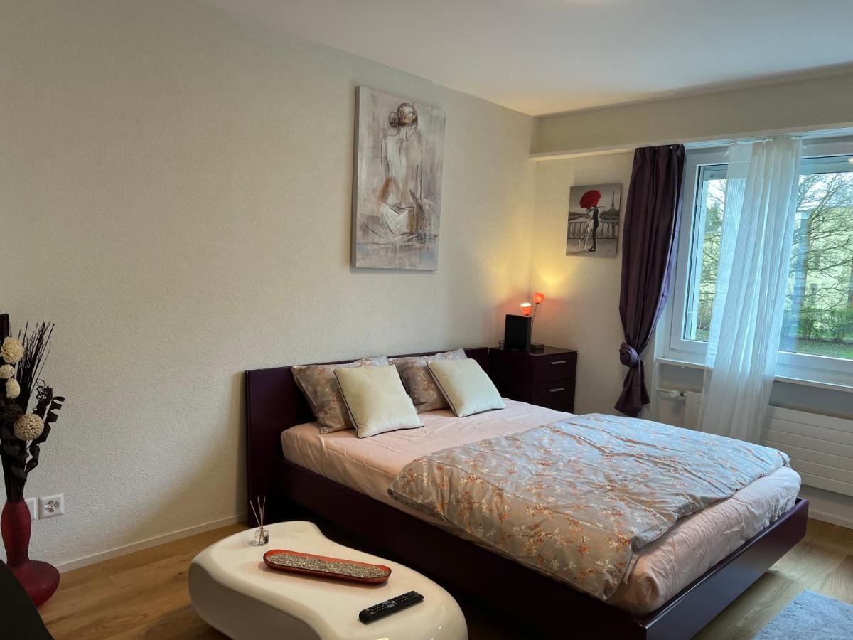 1.5 studio room fully furnished @ Langnau am Albis - Housity
