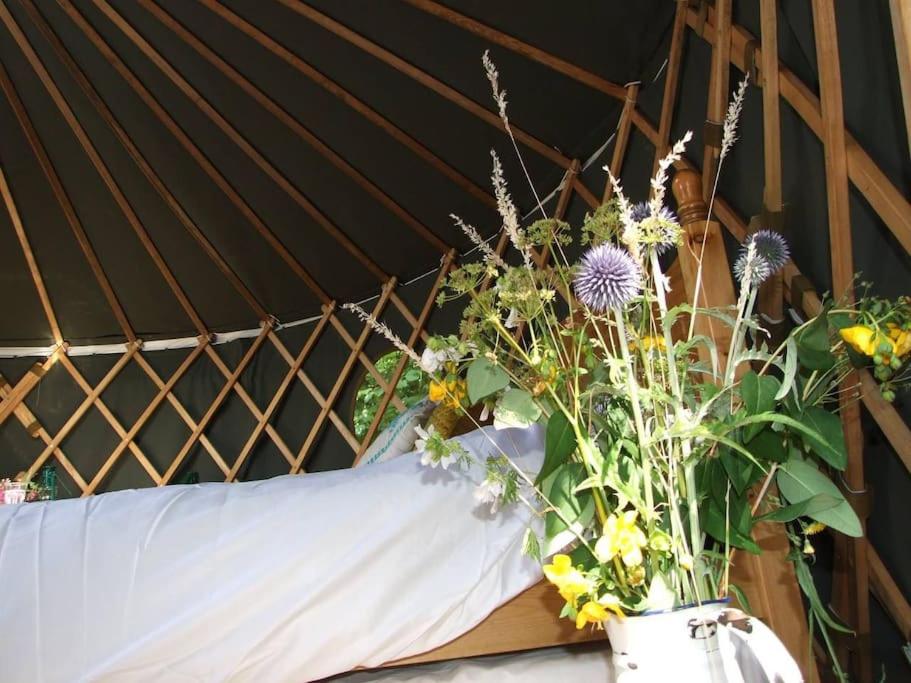 'Oak' Yurt in West Sussex countryside - Housity