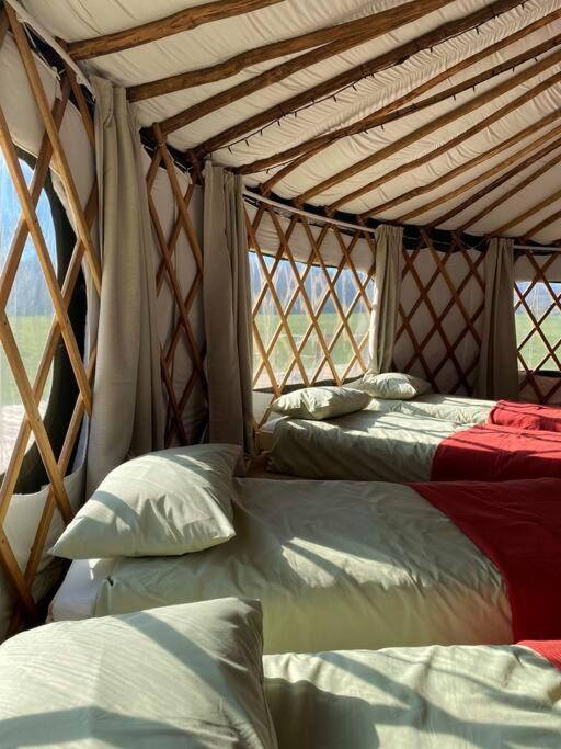 Redwood - the BIG yurt - Housity