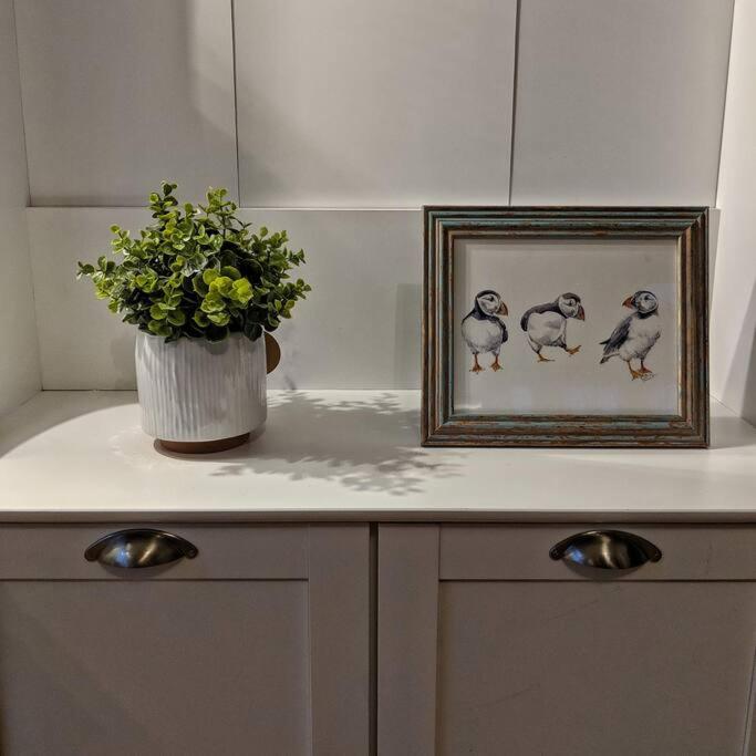 The Peaceful Puffin - Housity